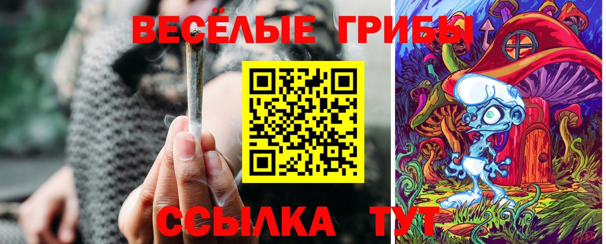 Белореченск  Галлюциногенные грибы прущие грибы  Вход с VPN 