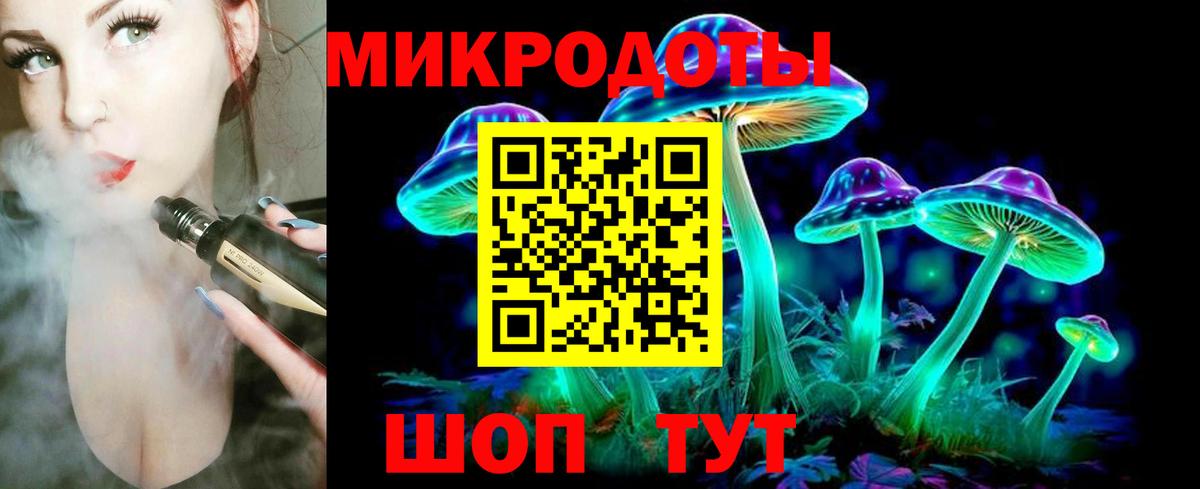 Псилоцибиновые грибы мицелий Белореченск