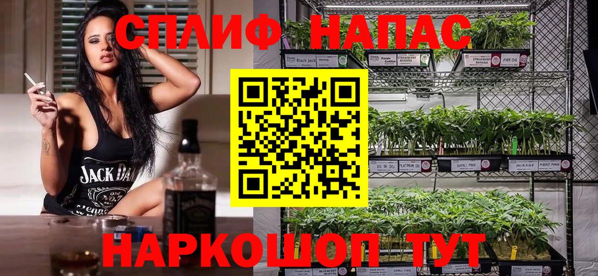 Канабис план Белореченск